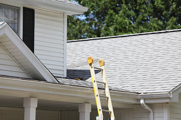 Best Storm Damage Siding Repair  in Prien, LA